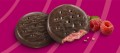 Raspberry Rally A chocolate covered crispy rasberry cookie