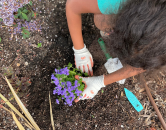 Girl gardening 